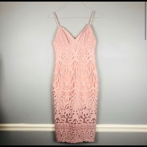 Bardot Gia Lace Pencil Dress 💘 BRAND NEW